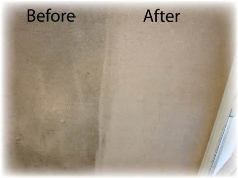 carpet cleaning Orange